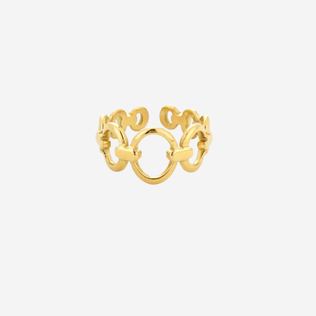 Ring met ovalen schakels
